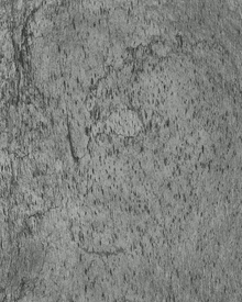 Feuille de Pierre Naturelle Phuket
