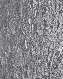 Feuille de Métal Argent