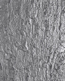 Feuille de Métal Argent