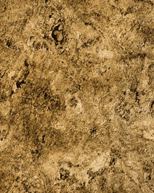Ankara Translucent Natural Stone Veneer