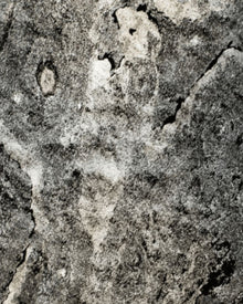 Translucent Natural Stone Veneer London