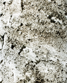 Feuille de Pierre Naturelle Translucide Minsk