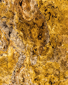 Feuille de Pierre Translucide Prague