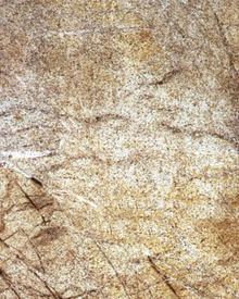 Feuille de Pierre Naturelle Translucide Pretoria