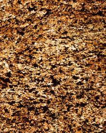 Feuille de Pierre Naturelle Translucide Saint-Tropez