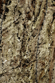 Translucent Natural Stone Veneer Goa