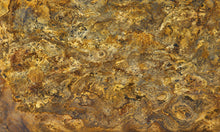 Feuille de Pierre Translucide Prague