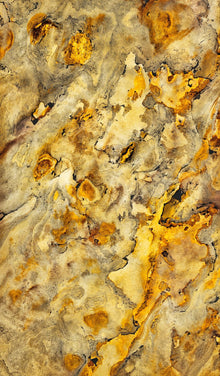 Feuille de Pierre Translucide Prague