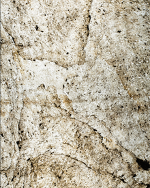 Feuille de Pierre Naturelle Translucide Amsterdam