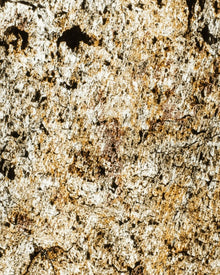 Kuala Lumpur Translucent Natural Stone Veneer