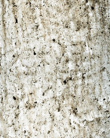 Madrid Translucent Natural Stone Veneer