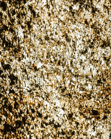 Feuille de Pierre Naturelle Translucide Paris