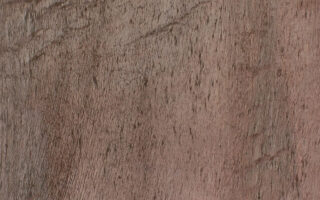 Feuille de pierre Stoneleaf Essaouira