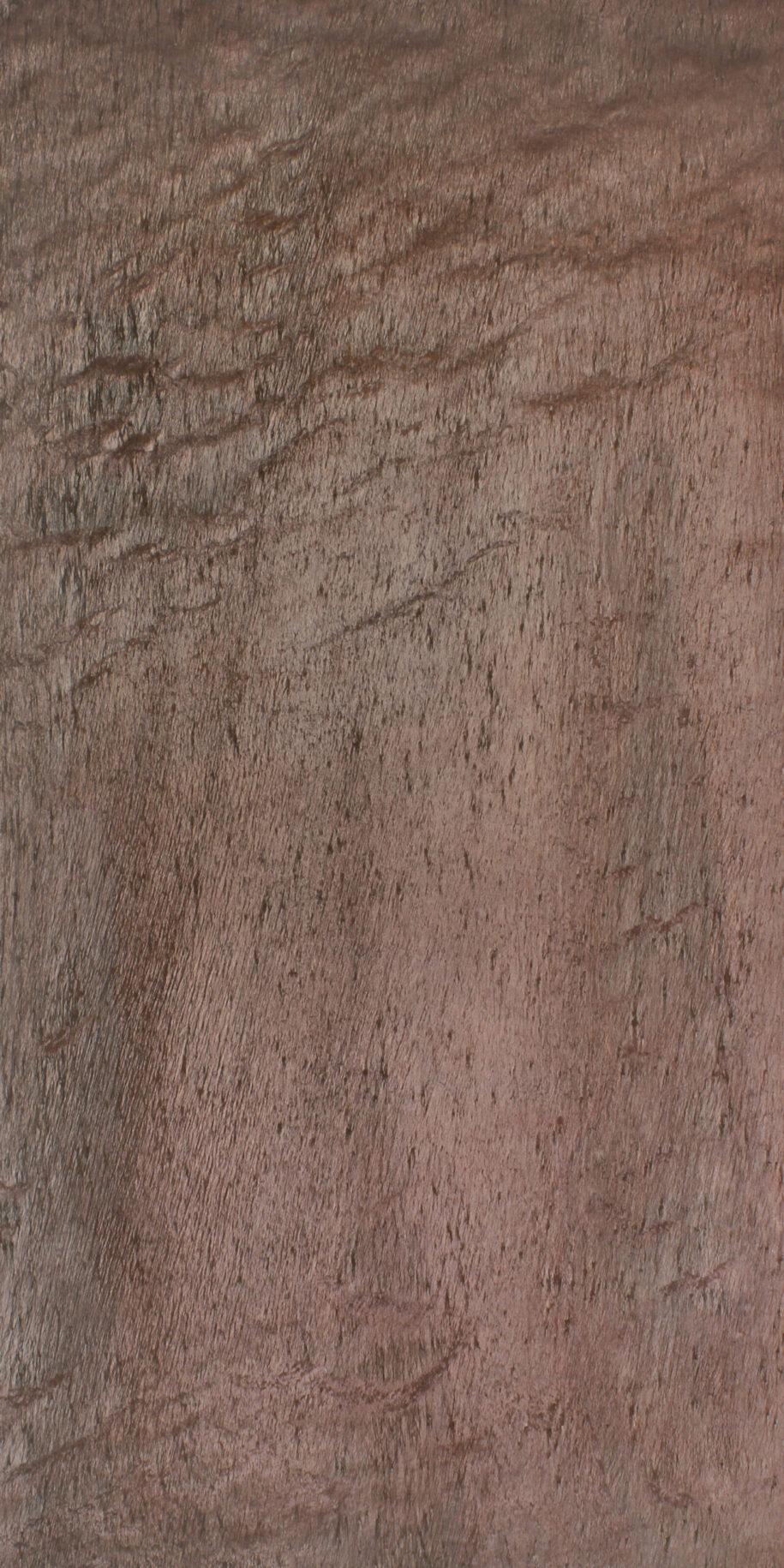 Feuille de pierre Stoneleaf Essaouira