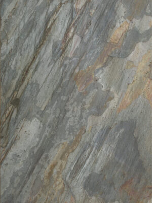 feuille de pierre Stoneleaf Goa