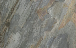 feuille de pierre Stoneleaf Goa