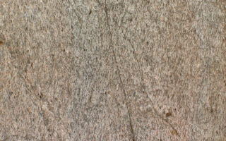 Feuille de pierre Stoneleaf Kuala Lumpur