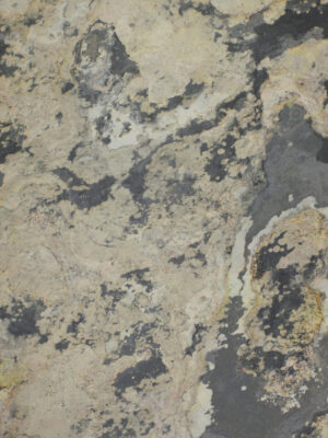 Feuille de pierre Stoneleaf Moscou