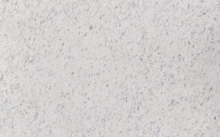 Feuille de Pierre Stoneleaf Oslo