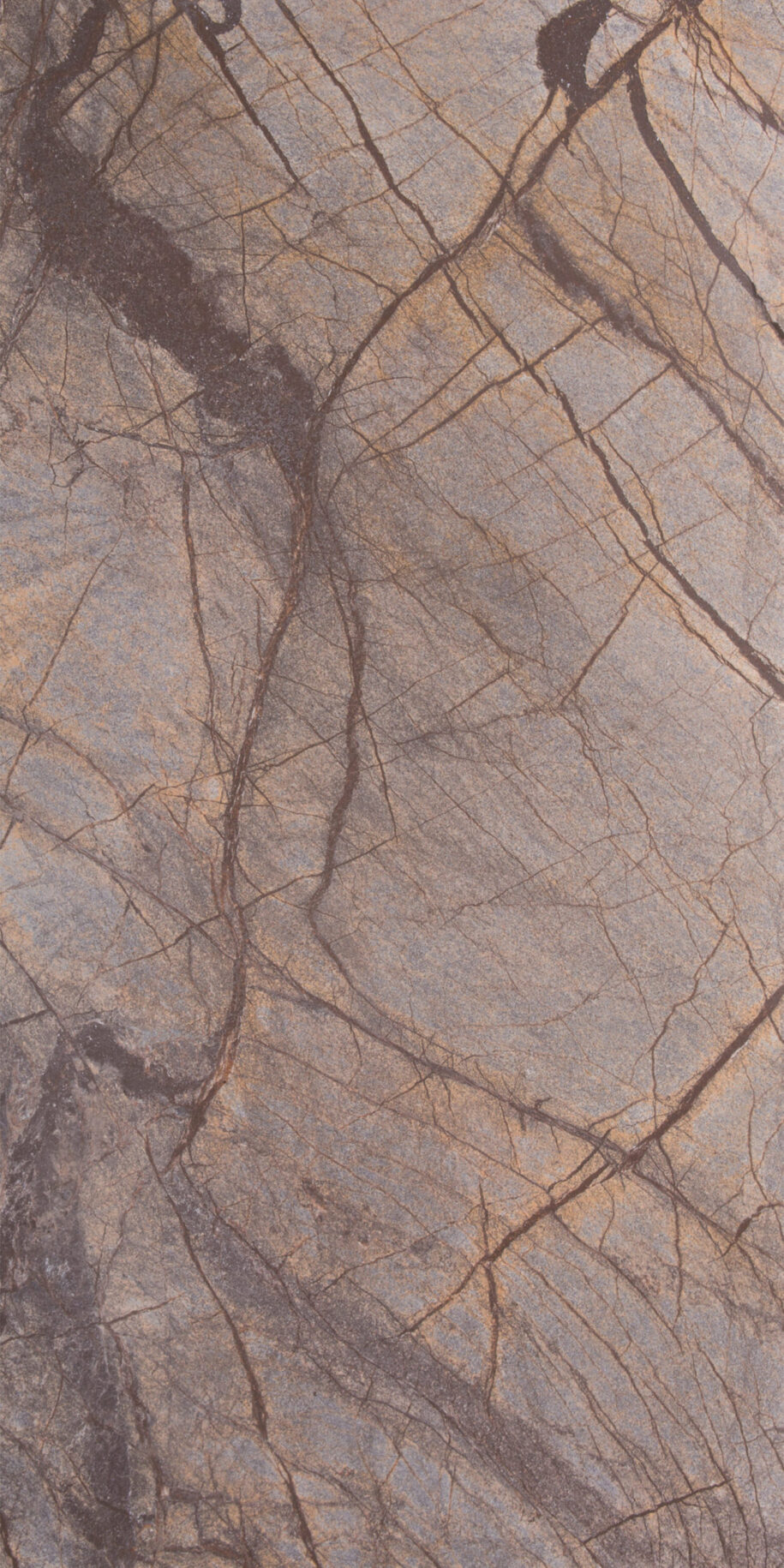 Feuille de pierre Stoneleaf Pretoria