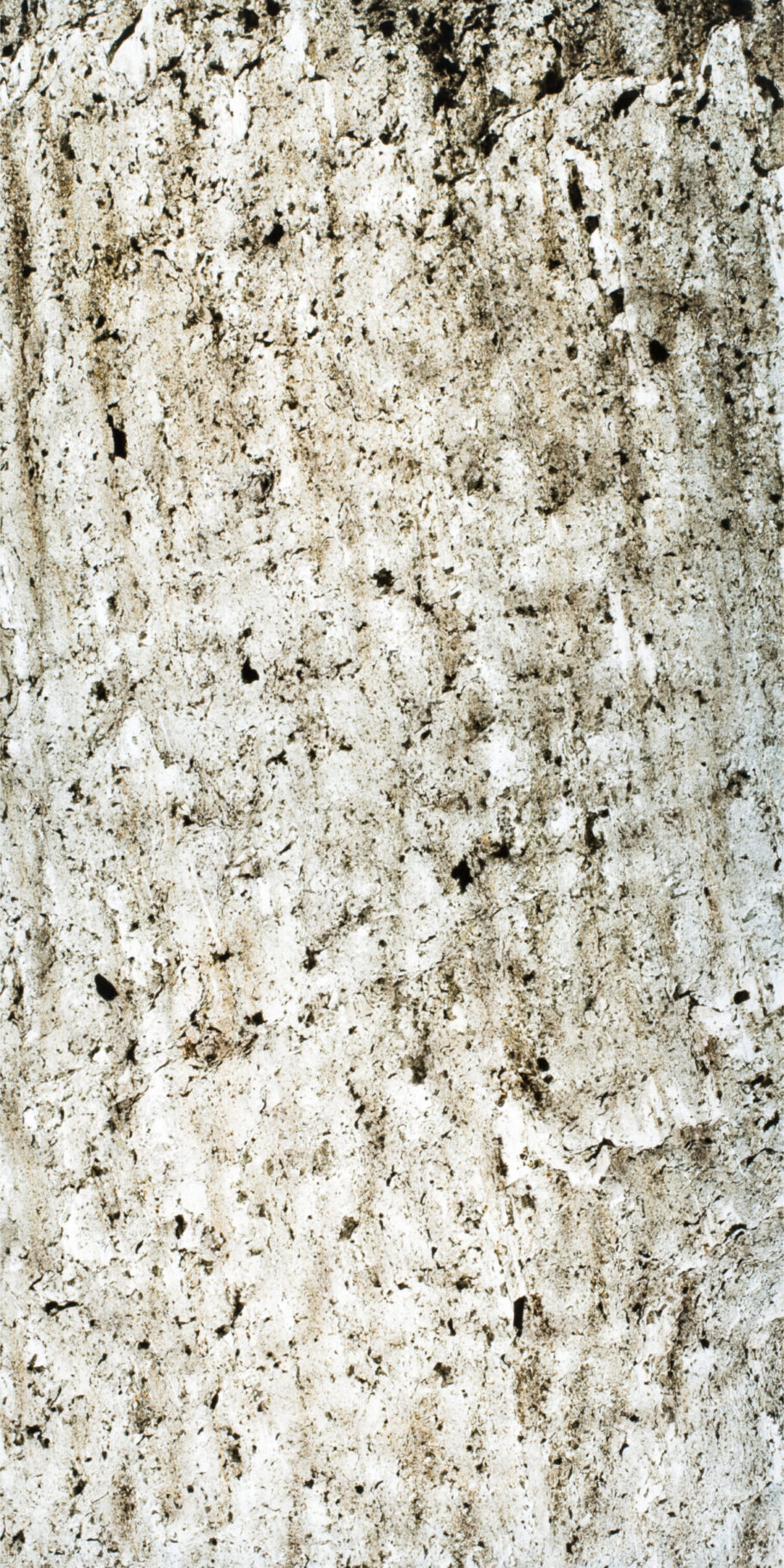 Feuille de pierre Translucide Madrid