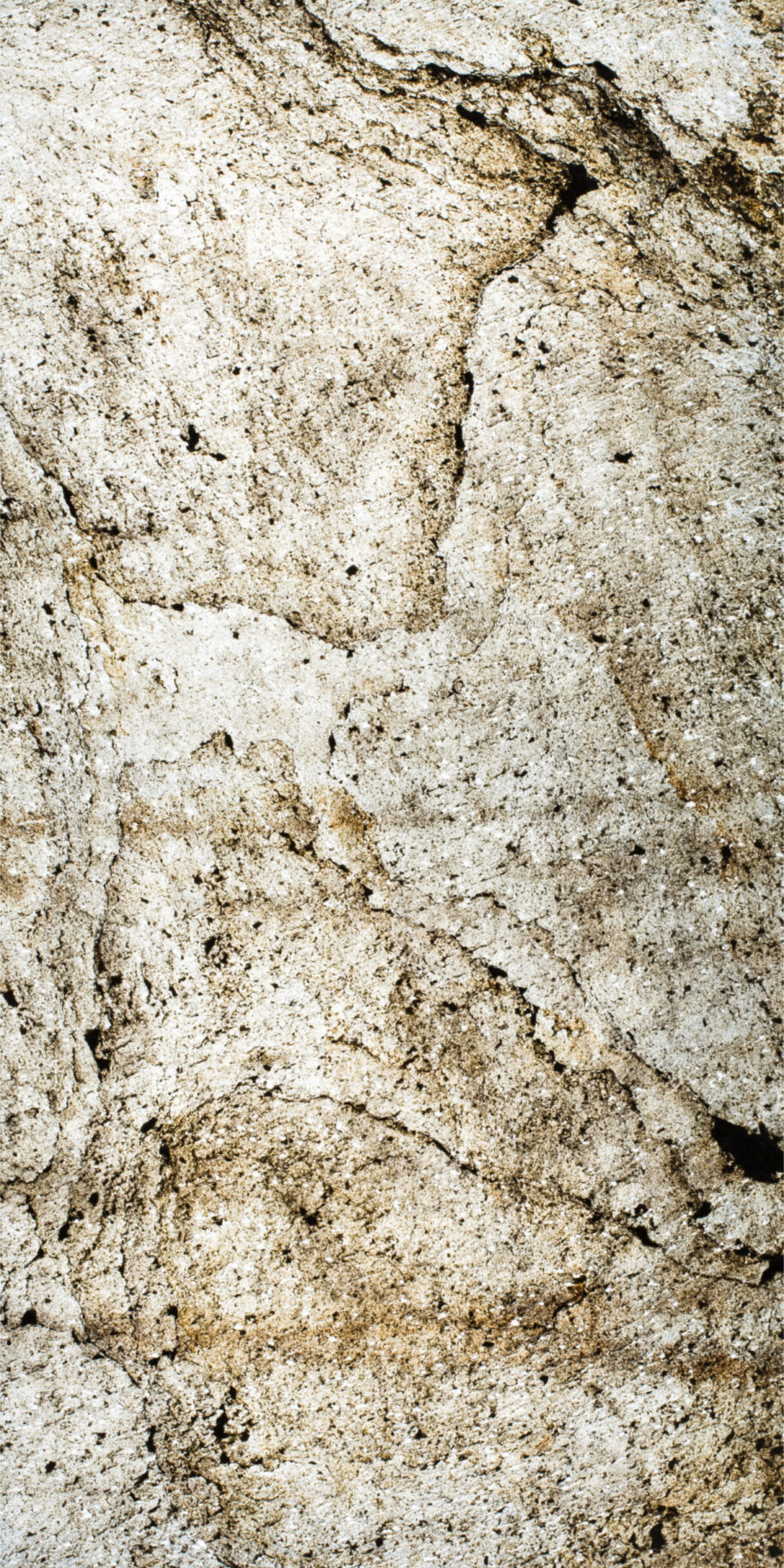 Feuille de pierre Translucide Amsterdam