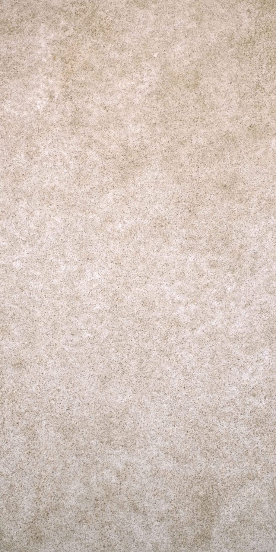 feuille de pierre translucide Athènes