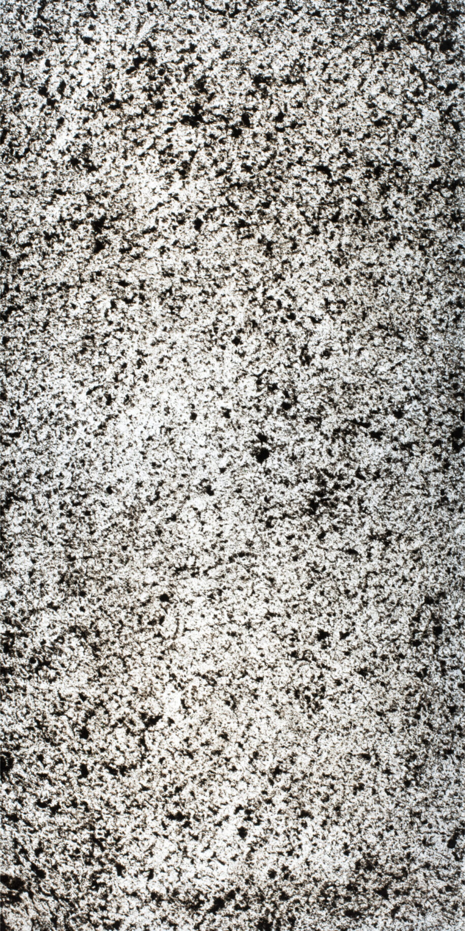 feuille de pierre translucide Canberra