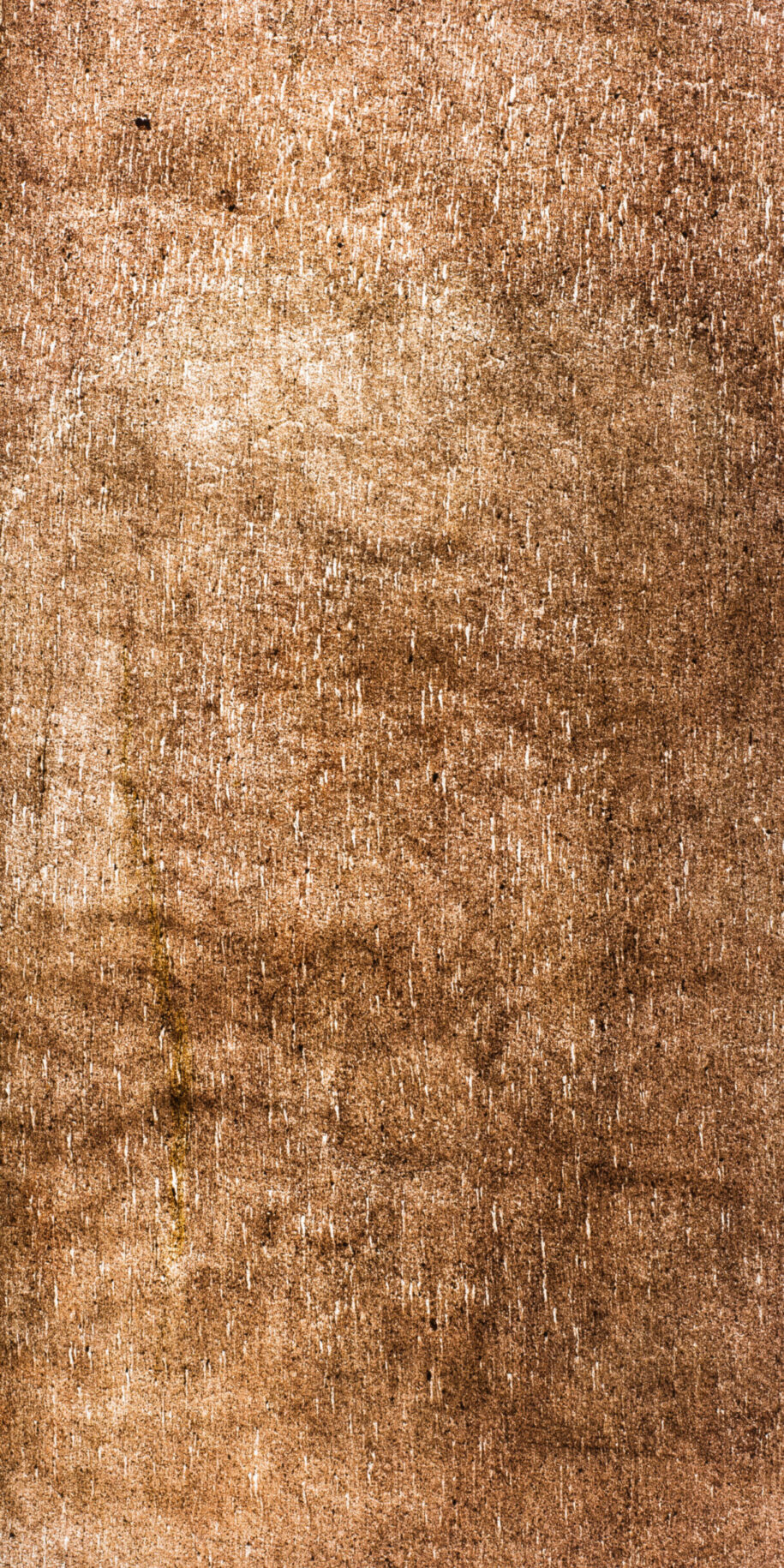 feuille de pierre translucide Essaouira