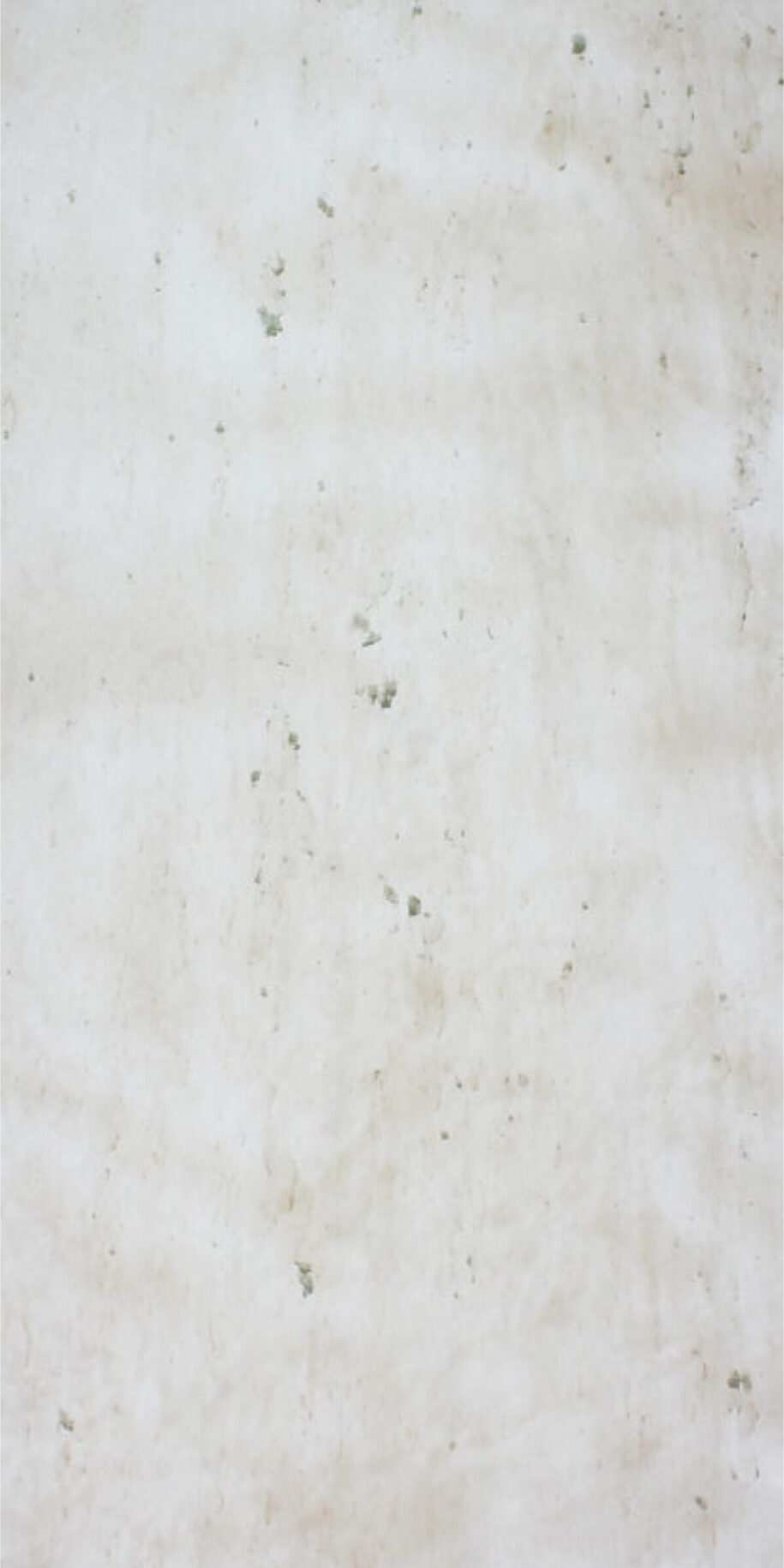 feuille de pierre Translucide Helsinki