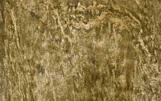 Feuille de pierre translucide Lisbonne