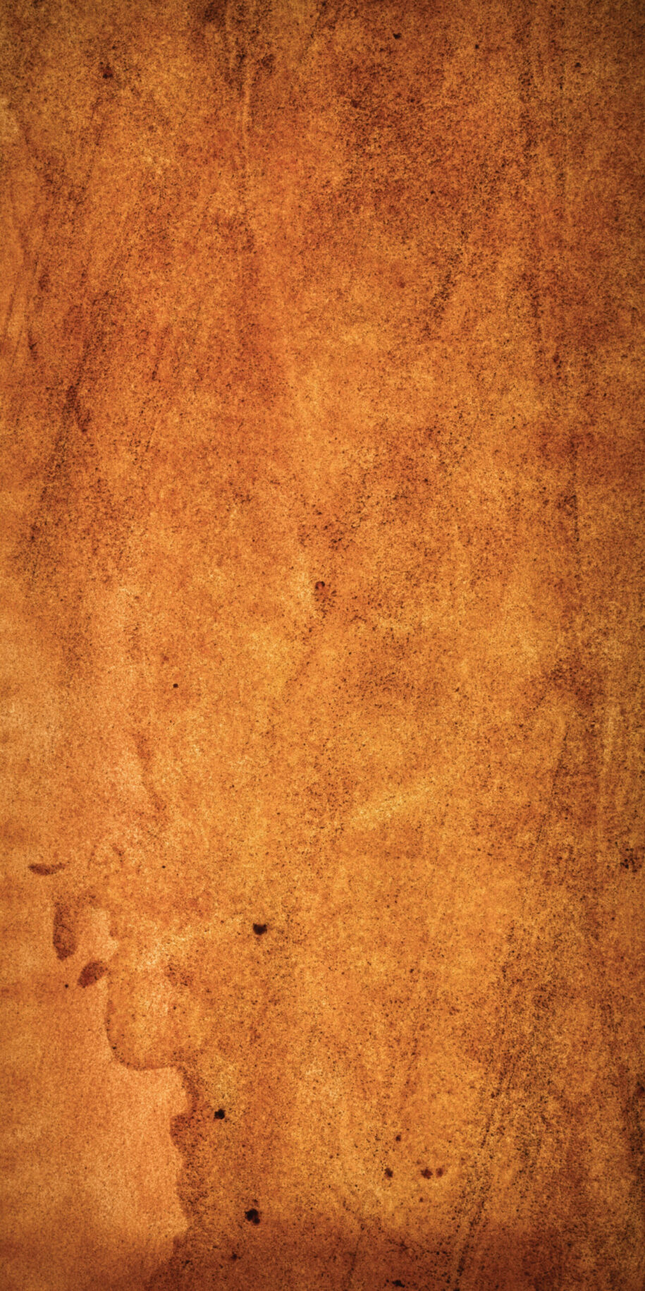 feuille de pierre translucide Louxor