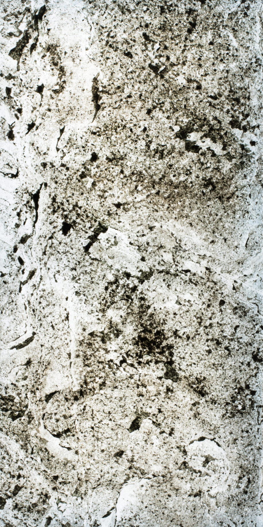 feuille de pierre translucide Minsk