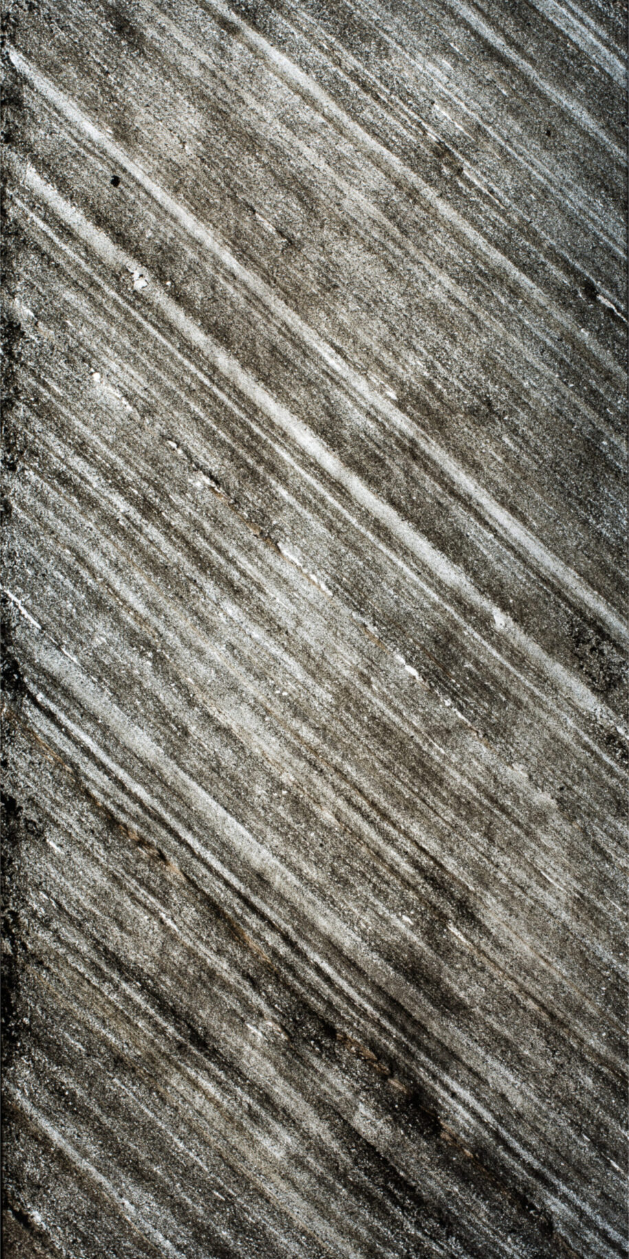 feuille pierre translucide new york