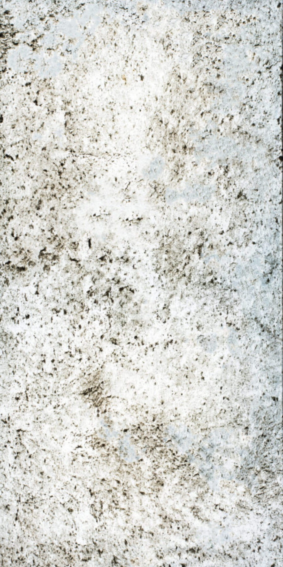 Feuille de pierre Translucide Oslo