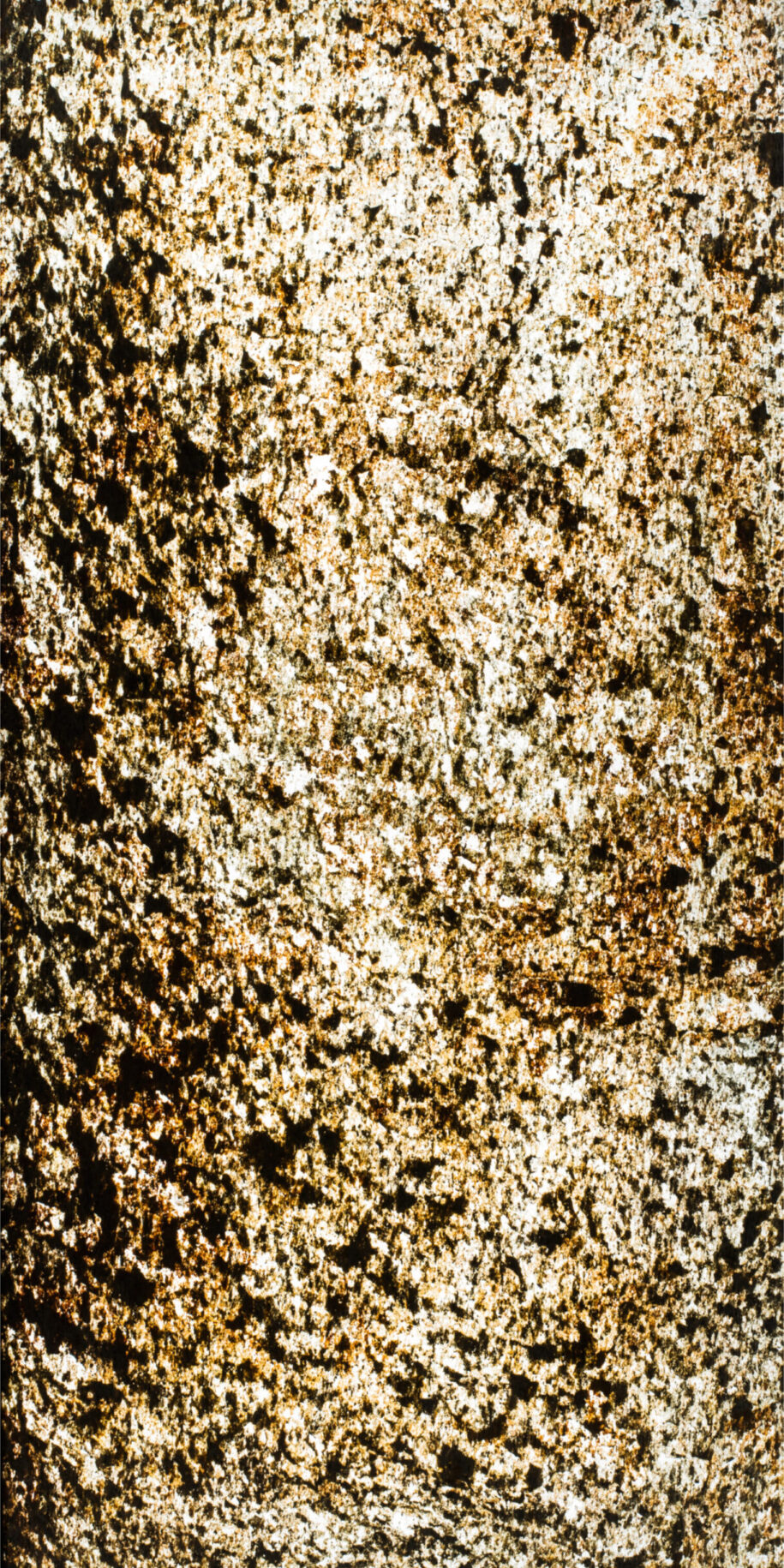 feuille de pierre translucide Paris