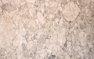 feuille de pierre translucide Tokyo