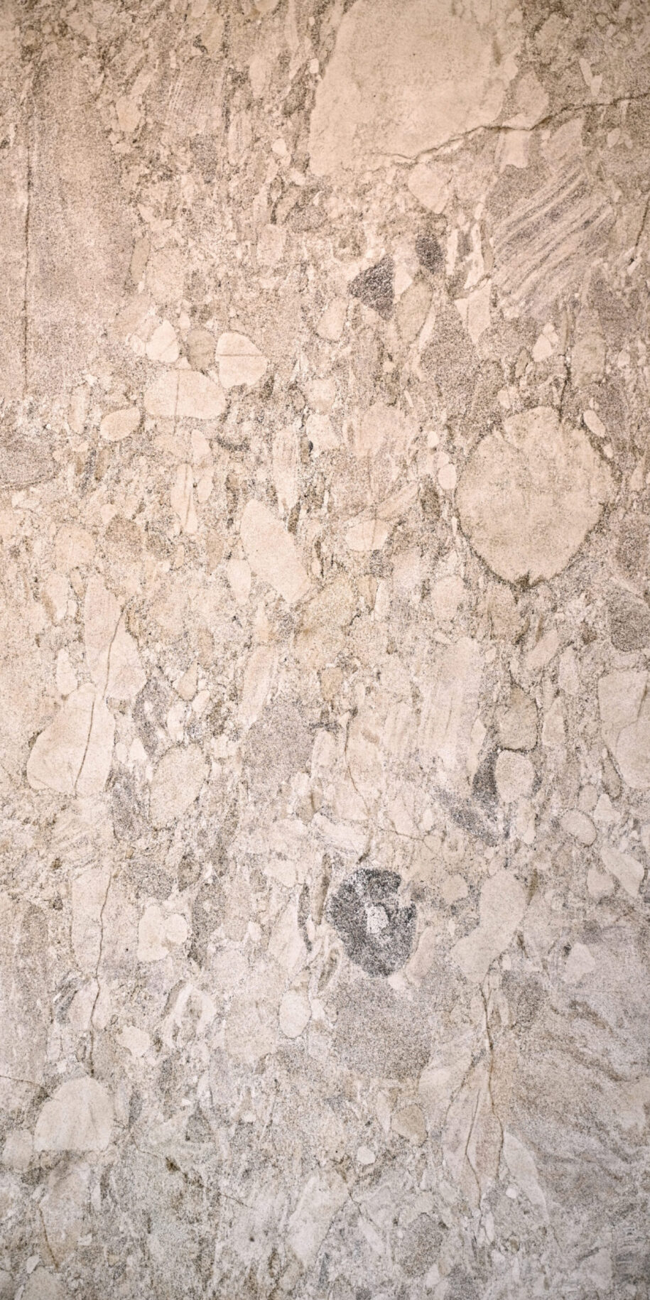 feuille de pierre translucide Tokyo