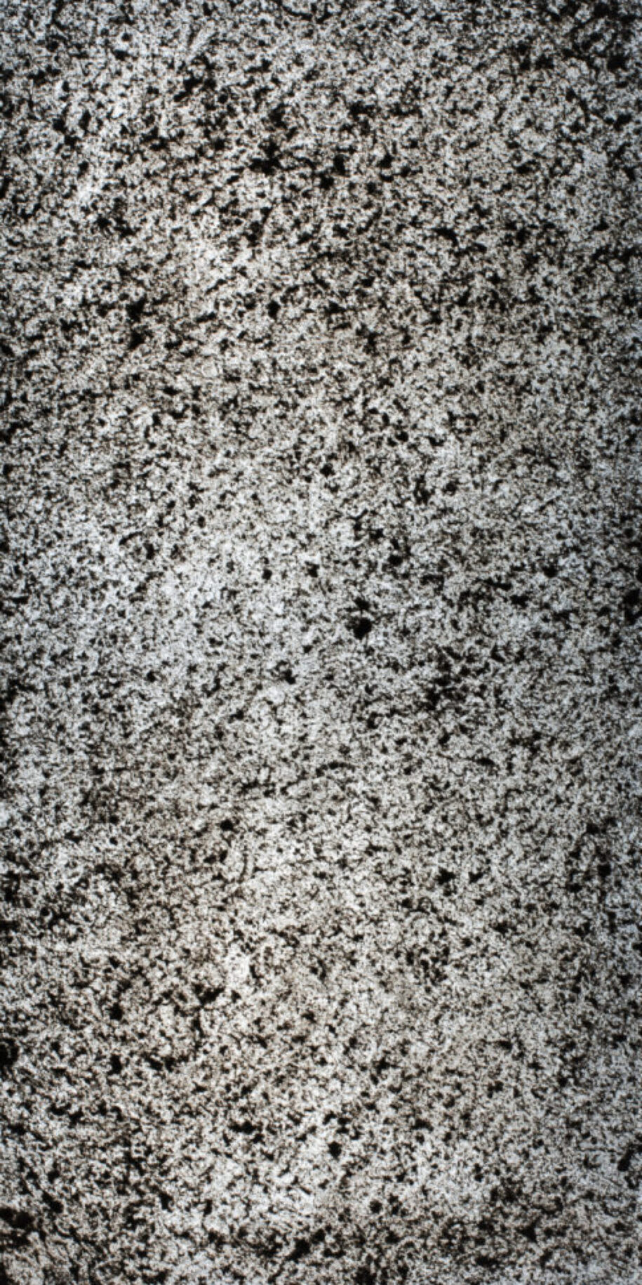 Feuille de pierre Translucide Zagreb