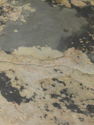 feuille pierre naturelle ardoise moscou 2 scaled 1